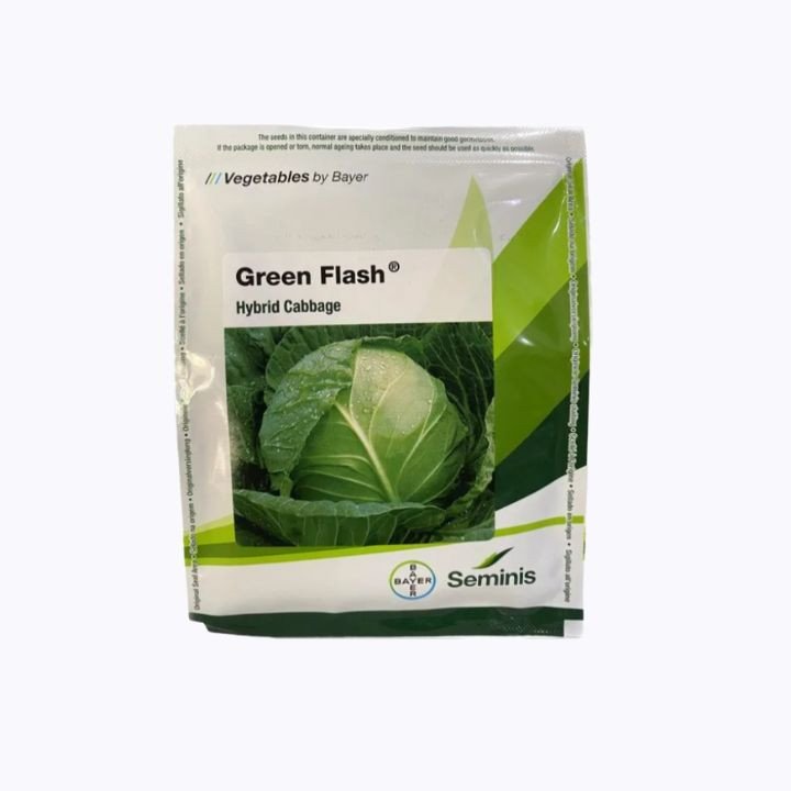 Seminis Green Flash Hybrid Cabbage Seeds